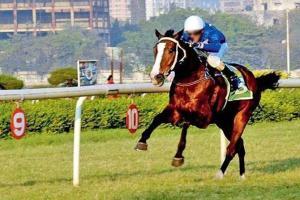 Horse Racing: Chosen One may shock mid-day Trophy field