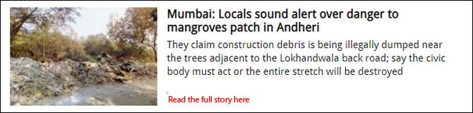 Mumbai: Locals sound alert over danger to mangroves patch in Andheri
