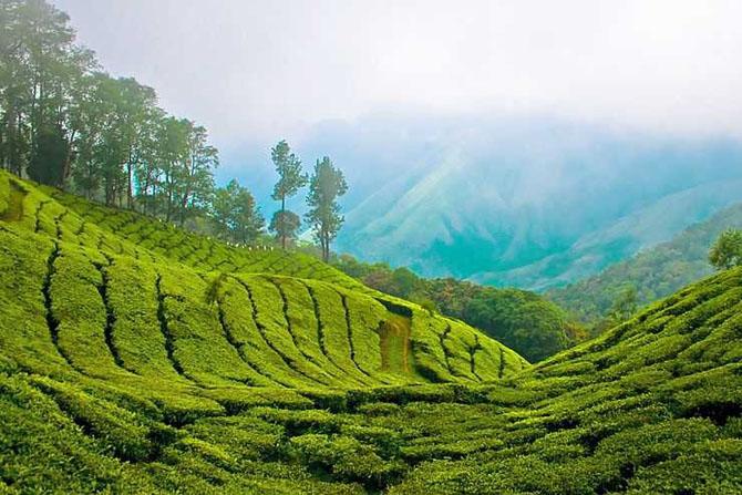 Munnar