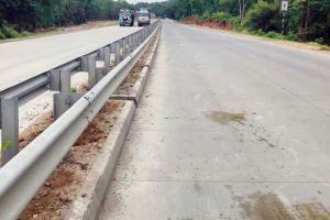 Another Tiger hit on NH7; wildlife lovers blame tall median breakers