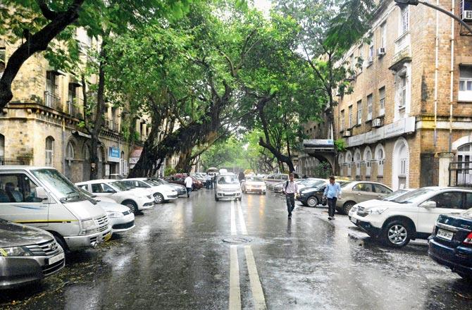 Parked vehicles take up a majority of the road at Ballard Estate, since there