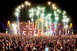 Sunburn festival goes back home with a thumbs up