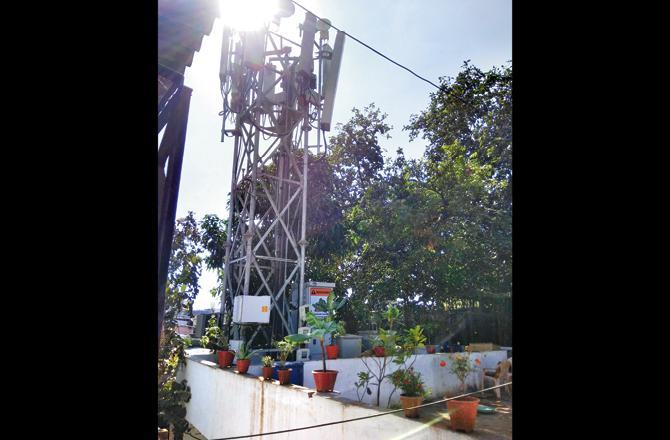 Last December, complainant Anand Rana took pictures of a tree being axed, claiming it was cut to make way for this mobile tower