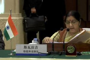 UK minister holds talks with Sushma Swaraj, Shah Mehmood Qureshi