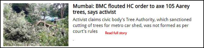 Mumbai: BMC flouted HC order to axe 105 Aarey trees, says activist