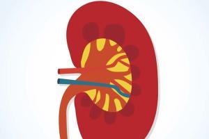 Novel tools may help prevent TB reactivation: Study