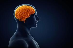 Train your brain to form good habits through repetition