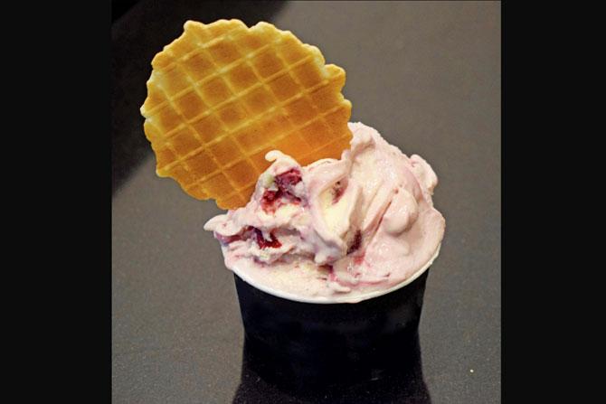 Amarena ice cream
