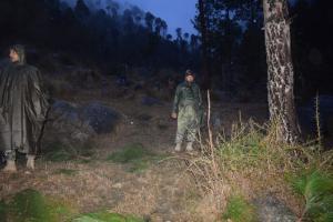 Pakistan violates ceasefire along LoC, five Army personnel injured