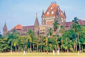 Bombay HC seeks govt's reply on AIMIM MLA's plea against Maratha quota