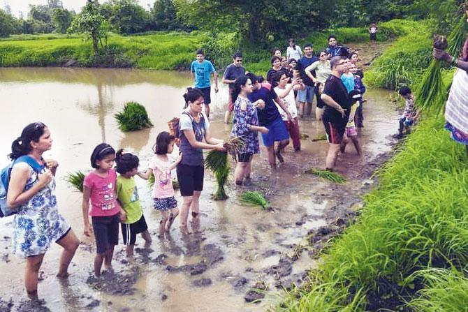 A tour around the farms in Wada