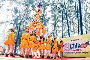 Indulge in star gazing, explore local culture at Bordi chickoo festival