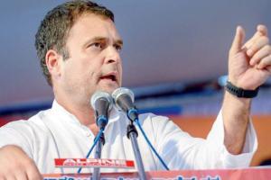 Rahul Gandhi meets Sharad Pawar in Delhi
