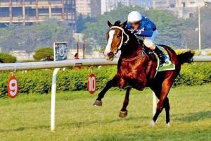 Horse Racing: Smasher can make amends