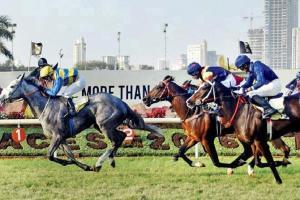 Horse Racing: Ruffina for feature event