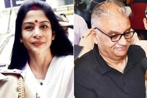 'Both Indrani and Peter Mukerjea wanted Rahul, Sheena Bora to separate'