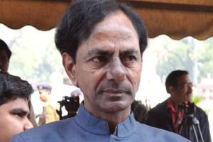 Will act firmly to check timber, wood smuggling: CM K Chandrasekhar Rao