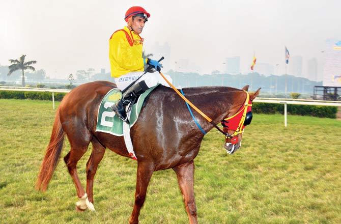 Royal Western India Turf Club