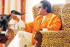 Box office report: Thackeray sees slow but steady rise in first weekend