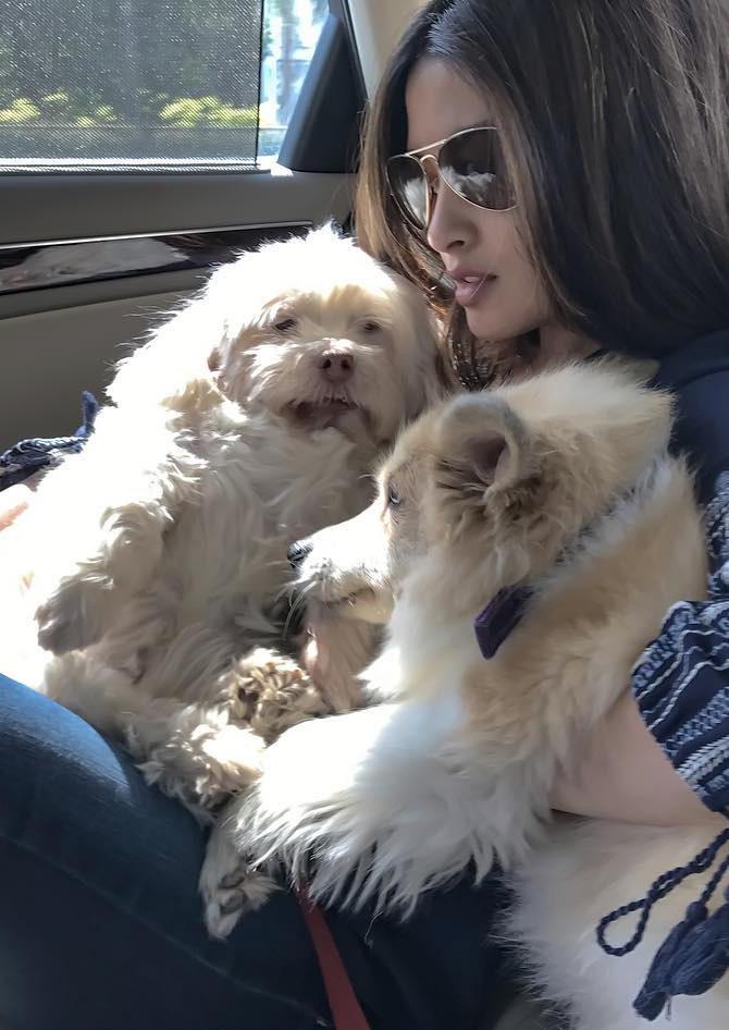 Riya Sen with her dogs. Pic/Riya Sen`s official Instagram account