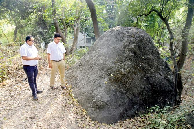 Fossil Rock is believed to be as old as the Kanheri Caves