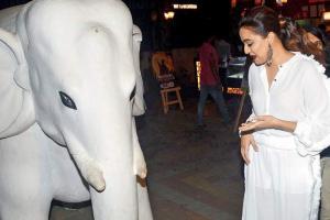 Mumbai Diary: Saturday Dossier