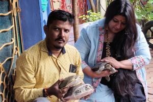 Three endangered turtles rescued from Andheri to be released soon
