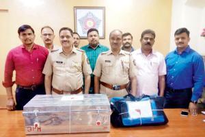 Mumbai Crime: Wood thief nabbed after 3-state chase in Pydhonie