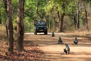 Planning a trip with your girl pals? Safari it is!