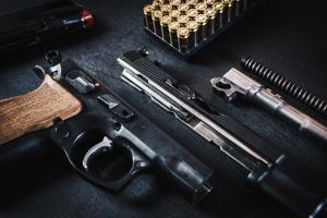 Delhi Police launches online facility for granting online arms licenses