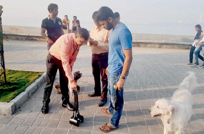 Officials from the civic body have also been encouraging owners to invest in poop scoopers, which cost no more than Rs 100