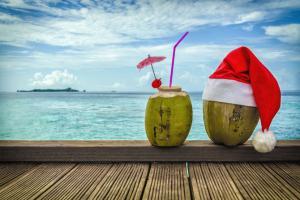 Healthy food to carry in your bag when you are on a vacation
