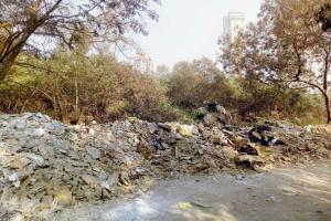 Mumbai: Locals sound alert over danger to mangroves patch in Andheri