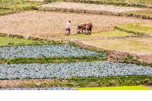 Congress: Narendra Modi's love for farmers is bogus
