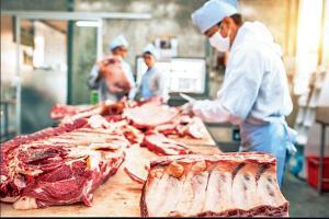 Belgium bans halal, kosher animal slaughtering practices