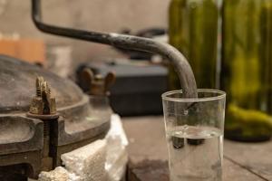 Chhatisgarh woman, son-in-law die after drinking liquor