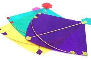 Kite-flying banned during Sankranti festival in Hyderabad
