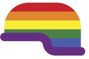 Bipin Rawat: Decriminalising gay sex may not be implemented in Army