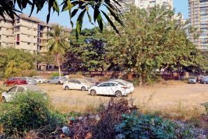 BMCs proposed change in Development Plan 2034 to bury garden plot