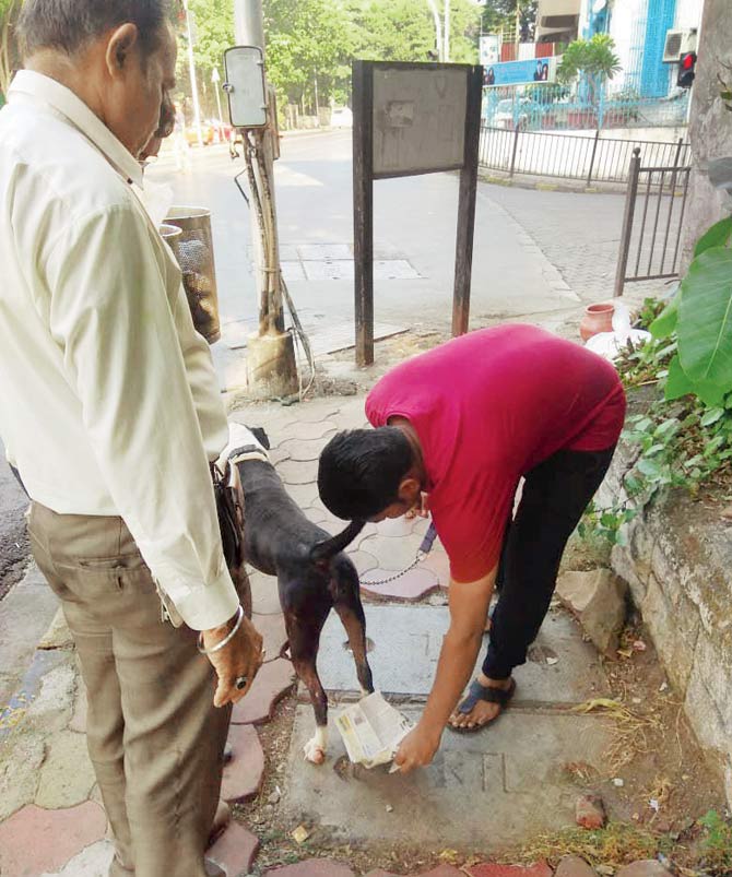 A BMC official requests a dog owner to pick up their pet
