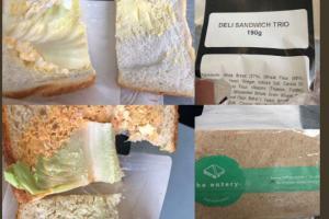 Man gets charged Rs 450 by airline for a sandwich. Here's what he got!