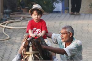 Photos: Taimur Ali Khan enjoys a horse ride with his signature pout