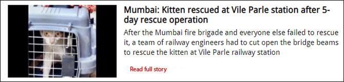 Mumbai: Western Railway shuts down for five minutes to rescue pigeon