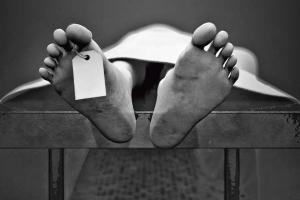 Woman dead, husband injured after falling from flyover in Delhi