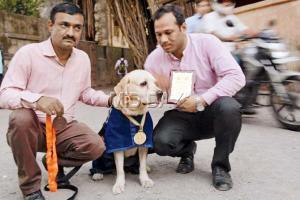 Mumbai's top dog! 'Super sleuth' Max does city proud by winning gold