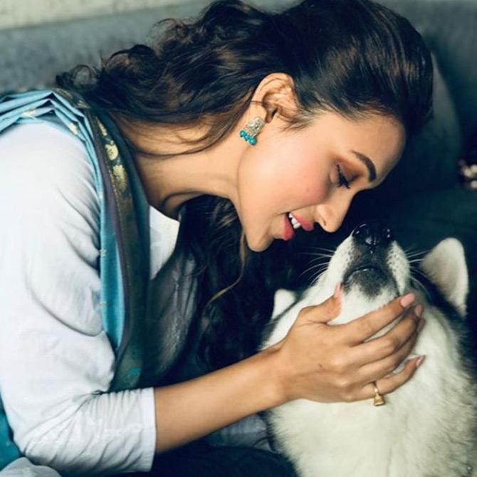 The 30-year-old actor-turned-politician, Mimi Chakraborty is also a mother to her pet dogs. Mimi has a Siberian husky and more often than not, Mimi takes to Insta to share cute, candid moments with her pet with her followers.