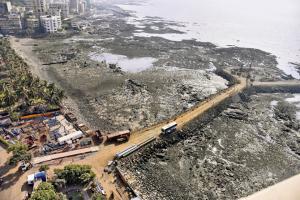 Coastal Road halted; BMC cannot proceed without environmental clearance