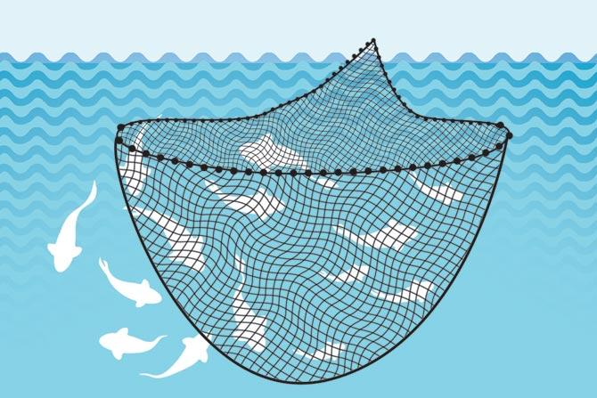 Purse Seine