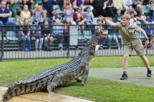 Steve Irwin's son shares heartwarming post; leaves netizens emotional