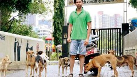 Dog on dog sex in Kalyan